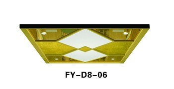 FY-D8-06