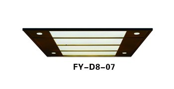 FY-D8-07