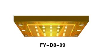 FY-D8-09