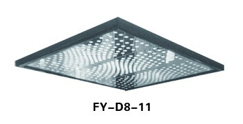 FY-D8-11