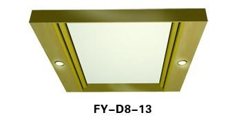 FY-D8-13