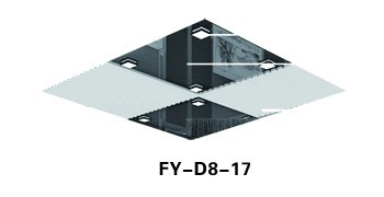 FY-D8-17