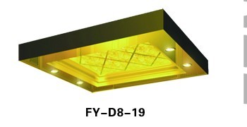 FY-D8-19