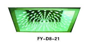 FY-D8-21