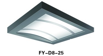 FY-D8-25