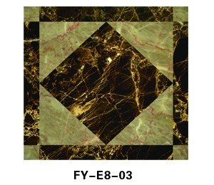 FY-E8-03