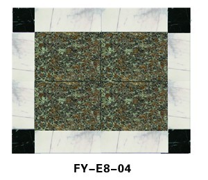 FY-E8-04