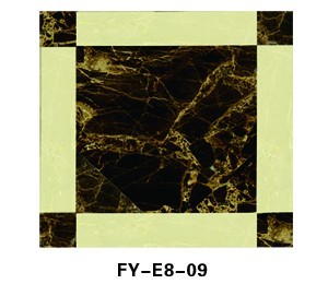 FY-E8-09