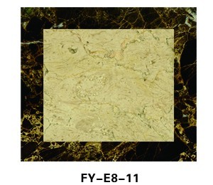 FY-E8-11