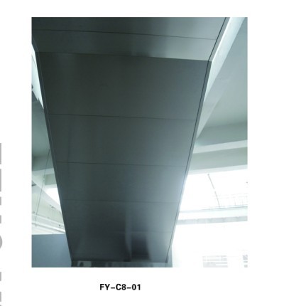 FY-C8-01