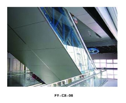 FY-C8-06