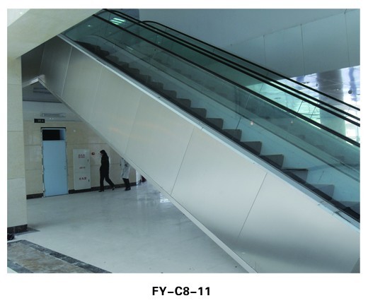 FY-C8-11